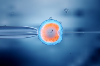 Kicsi a szülés esélye a lefagyasztott petesejtekből
